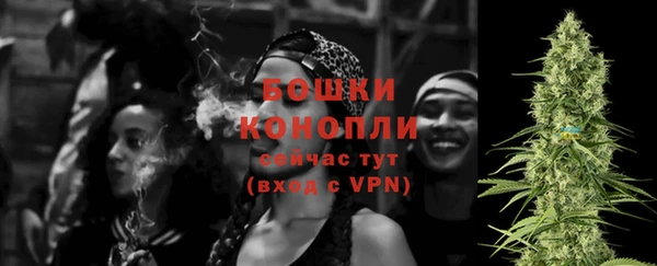spice Михайлов