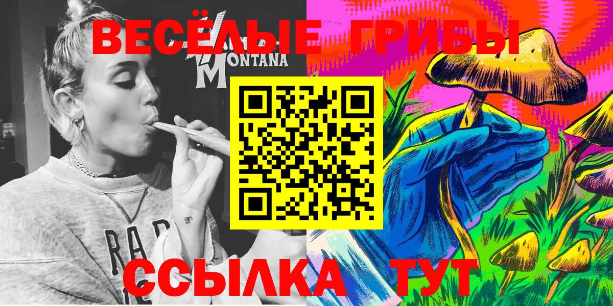 Галлюциногенные грибы Psilocybe Самара